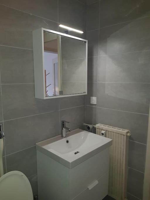 Studio De La Petite France Apartment Strasbourg Luaran gambar